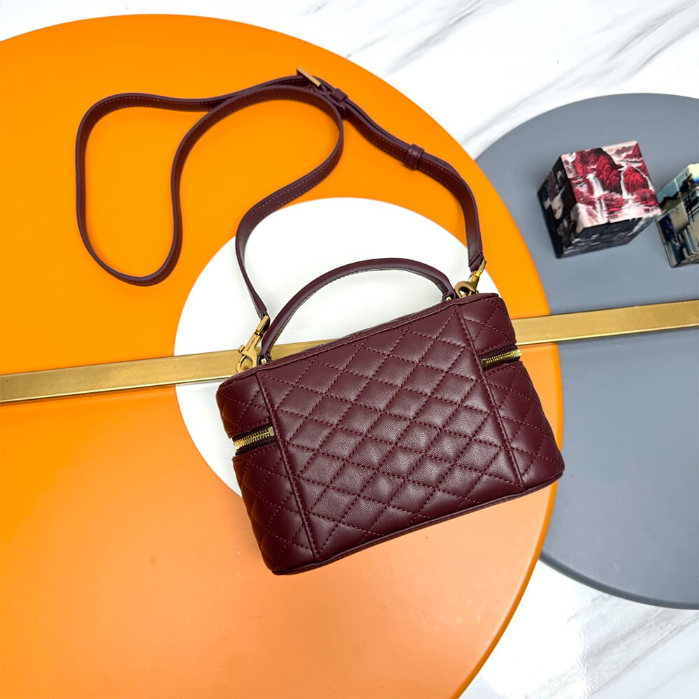 YSL GABY vanity bag in lambskin